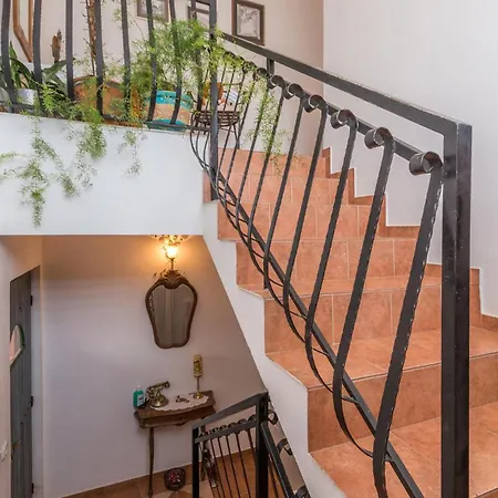 1 Bedroom In דירה